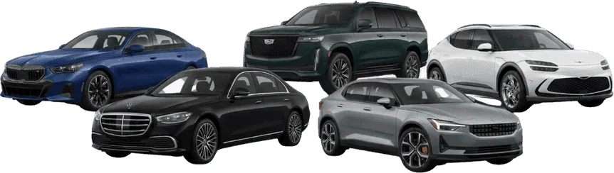 A lineup of many makes and models